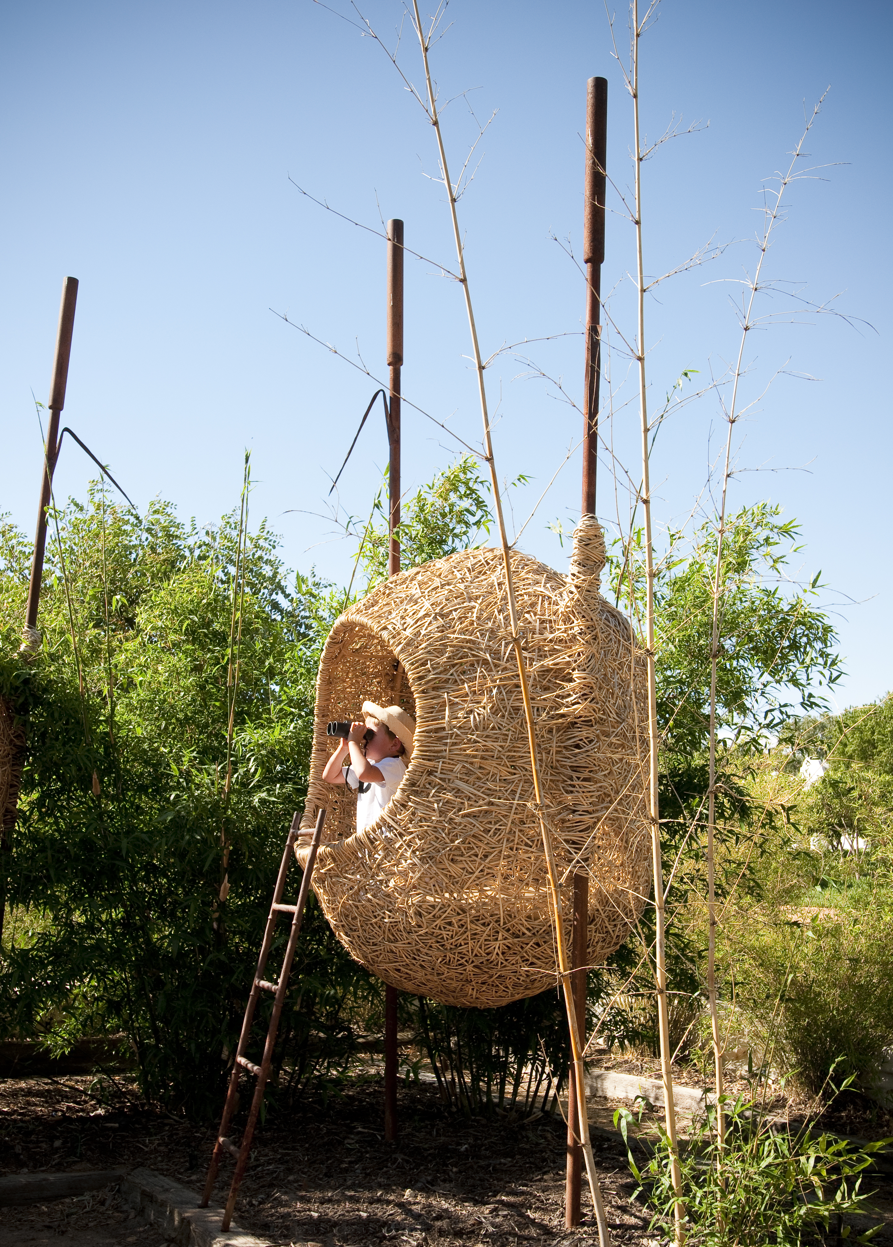 Human-sized nests in the reeds